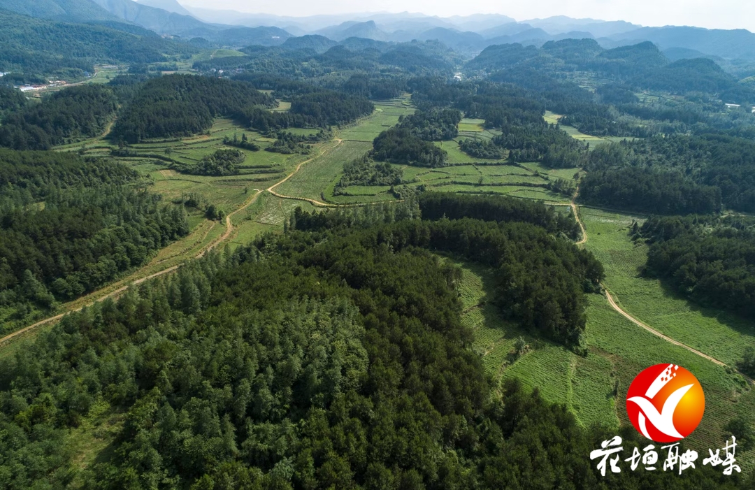 "政治三力" 添彩乡村振兴画卷———湘西州委办驻花垣县石栏镇朋岩村
