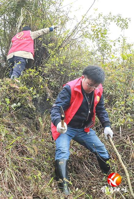 绿染苗寨党旗红——花垣县组织系统和麻栗场镇党员干部义务植树侧记