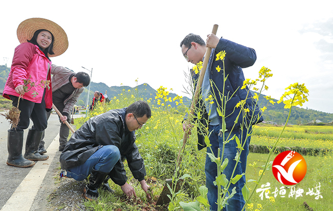 绿染苗寨党旗红——花垣县组织系统和麻栗场镇党员干部义务植树侧记