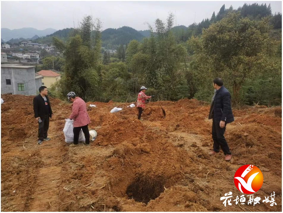 大塘坪村：因地制宜 构建产业发展新格局