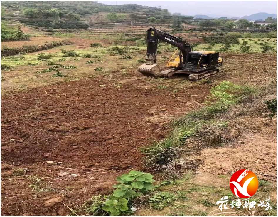 大塘坪村：因地制宜 构建产业发展新格局