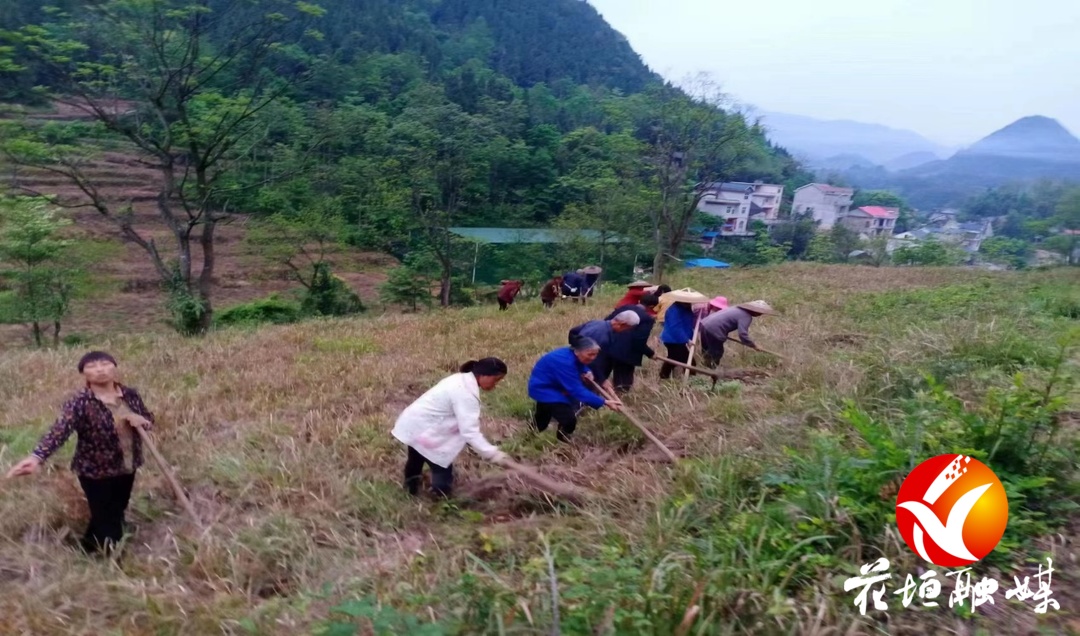 边城镇用好考核“指挥棒” 强化村（社区）干部管理