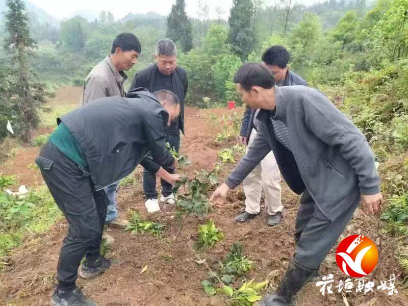 边城镇用好考核“指挥棒” 强化村（社区）干部管理