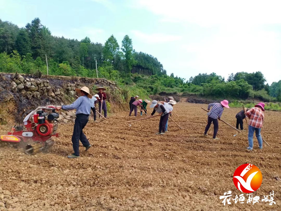 边城镇：治理抛荒出实招 集体经济促振兴