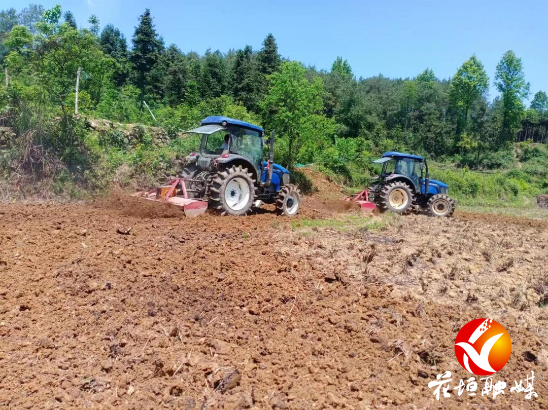 边城镇：治理抛荒出实招 集体经济促振兴