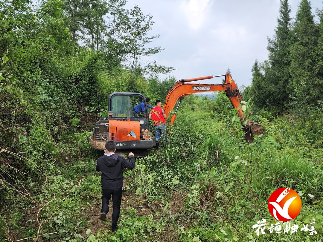 新科村抛荒地应耕尽耕能种尽种