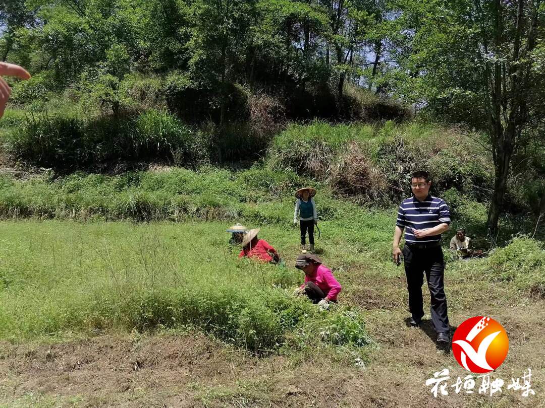西峡县双龙二小“感受自然 踏青励志”远足活动_河南教育资讯在线网