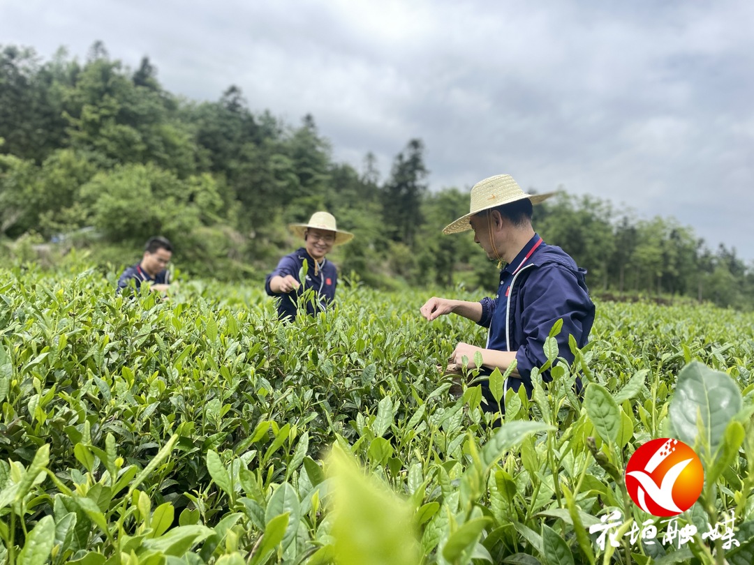 省委党校中青班在花垣县开展研学活动