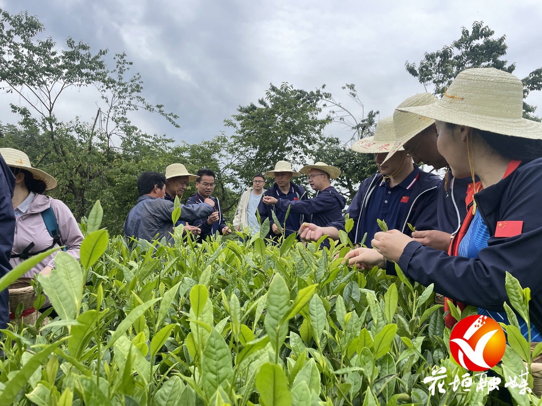 省委党校中青班在花垣县开展研学活动