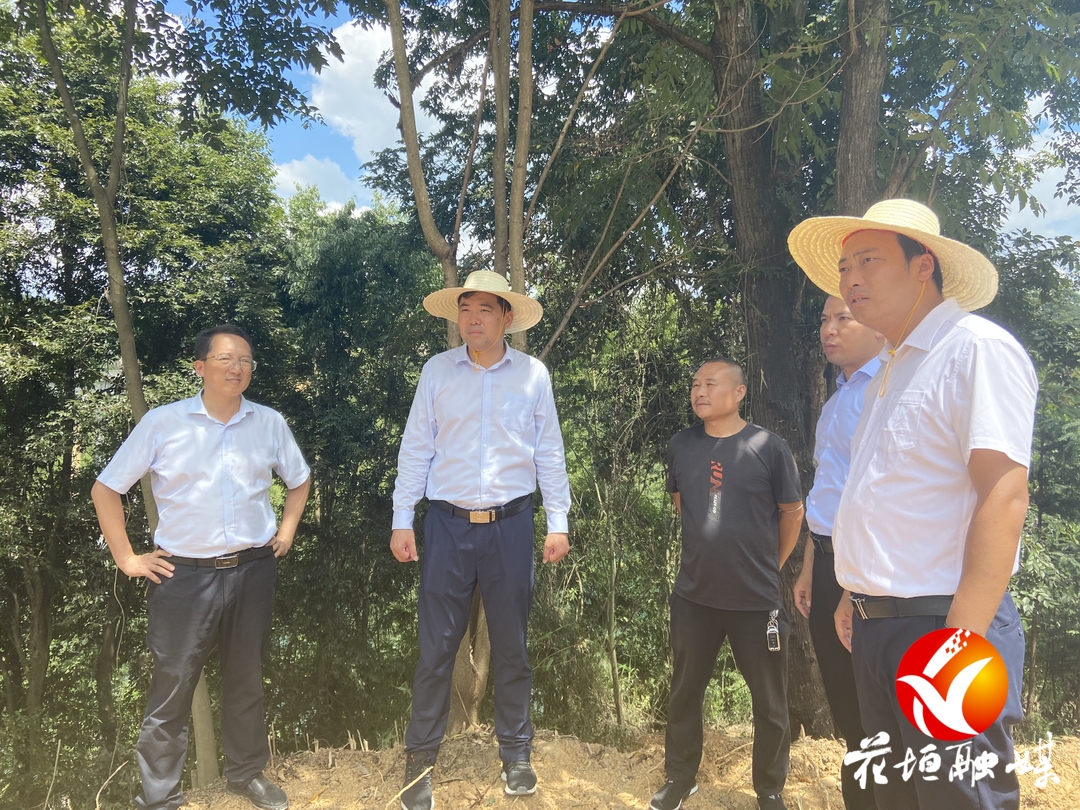 王京海督导调研矿业综合整治和违法用地整治工作