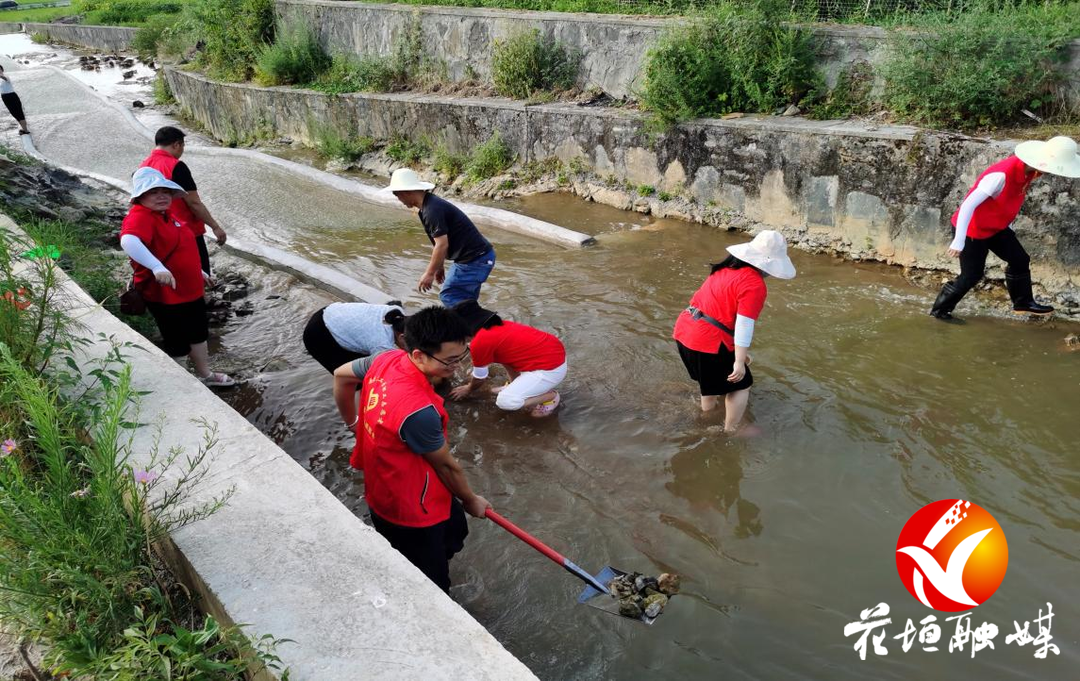 花垣组织系统助力沙科村抗旱情促增收
