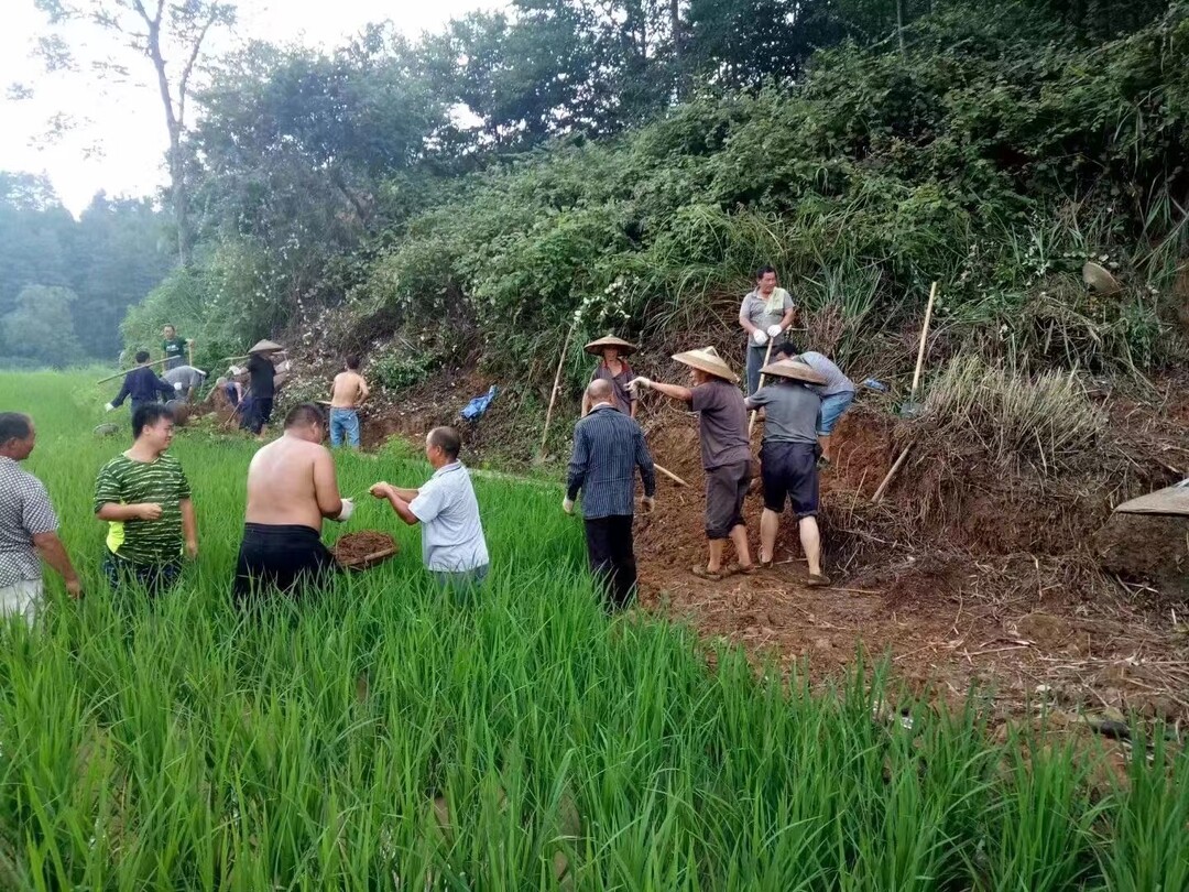 “老满”抗旱——花垣县石栏镇雅桥村党员干部疏浚水渠的故事