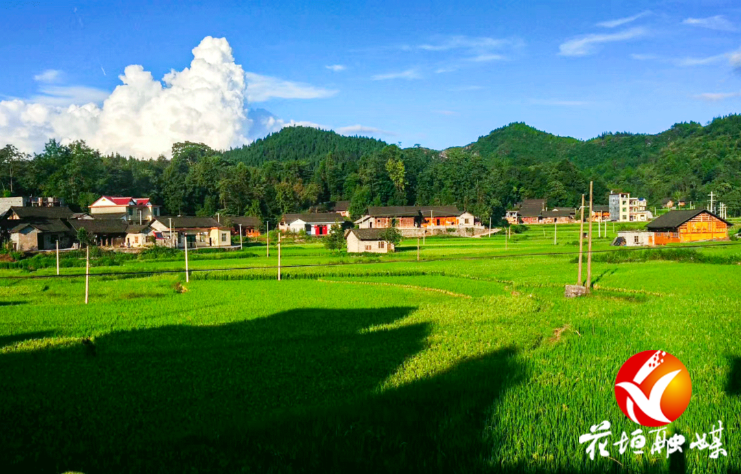 ​长乐乡坚持以实绩实效推进乡村振兴