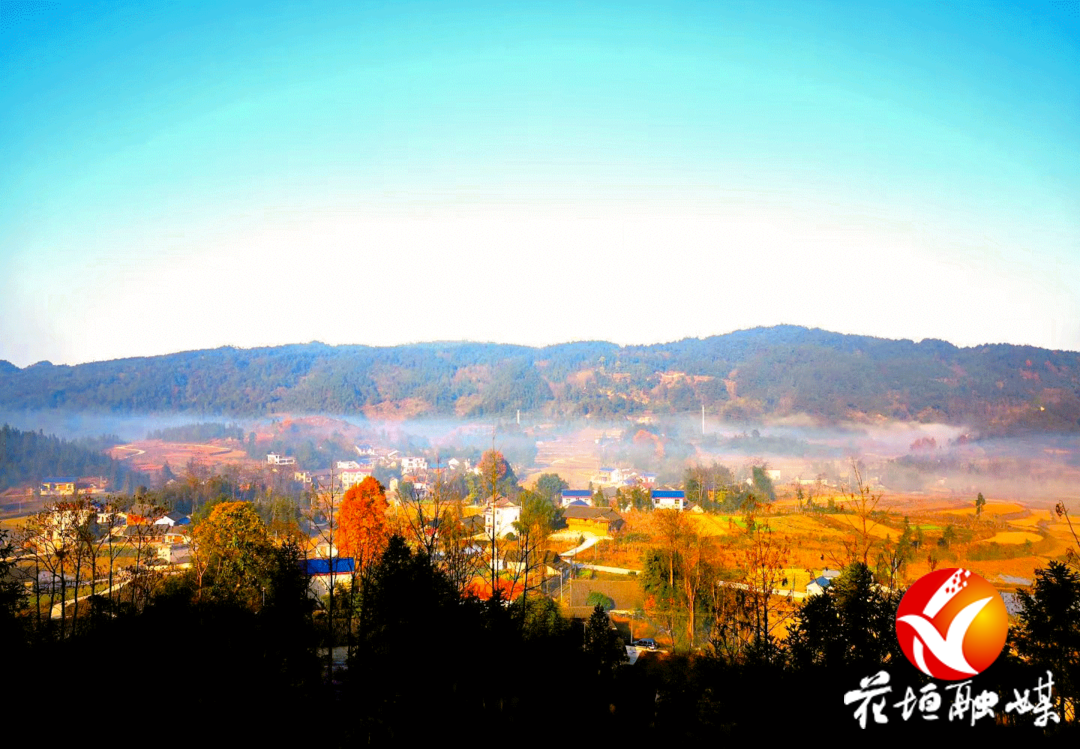 ​长乐乡坚持以实绩实效推进乡村振兴