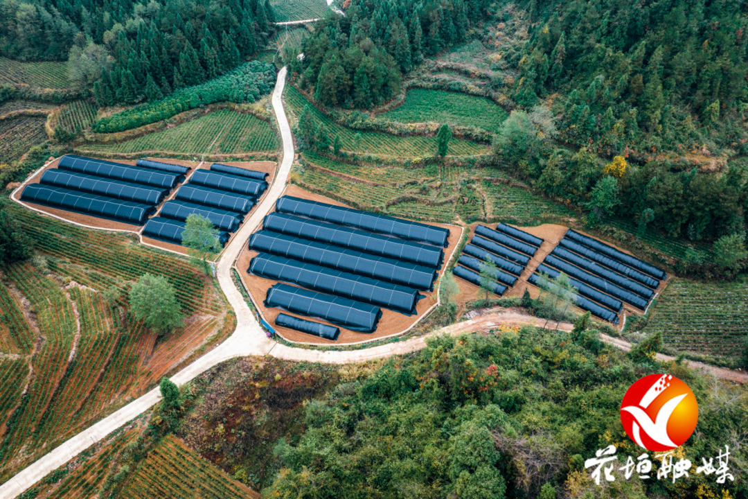 ​长乐乡坚持以实绩实效推进乡村振兴