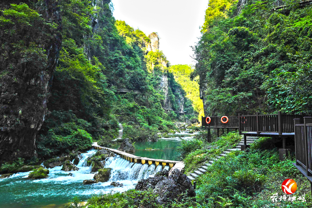 古苗河百瀑大峽谷：山水好清涼 避暑好地方