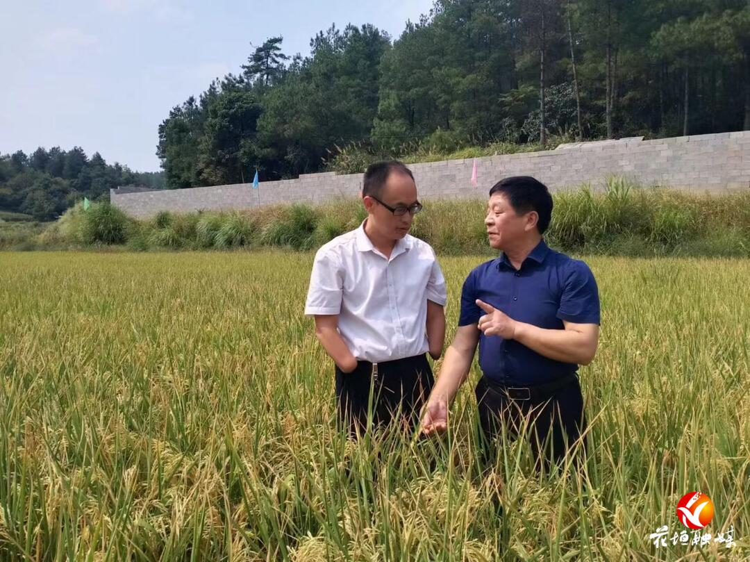 麻正兵獲評全省“百名最美文旅人 ”