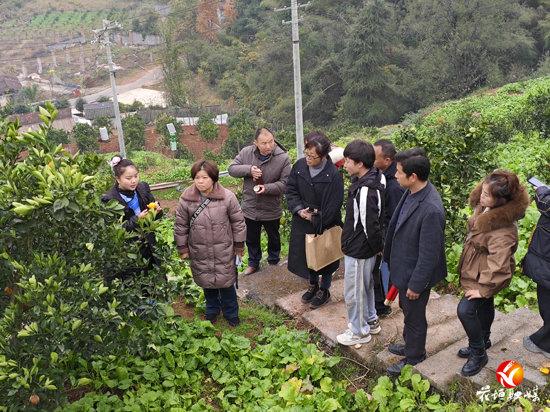 花垣县基层农技人员培训班学员到怀化市麻阳县参观学习