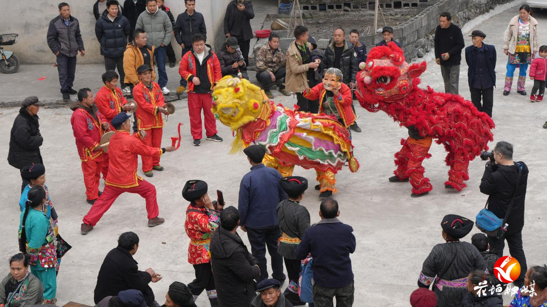 补抽乡合兴村：非遗贺新春 共庆苗年盛景