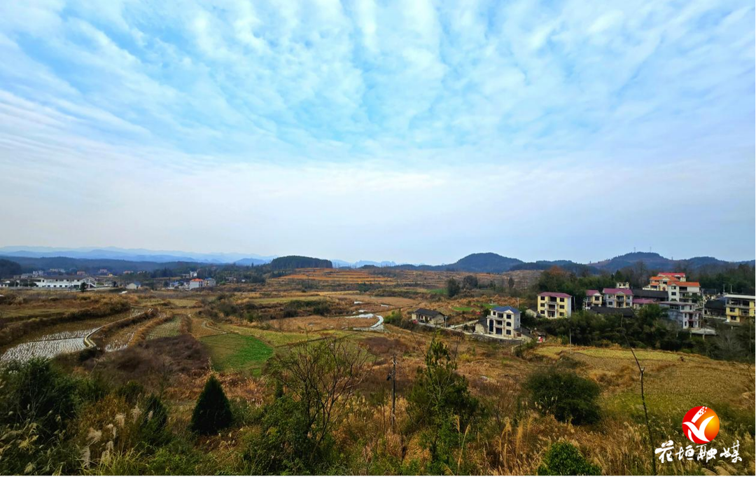 新春走基层︱麻栗场各鱼村：村美民富产业旺 乡村振兴展新颜