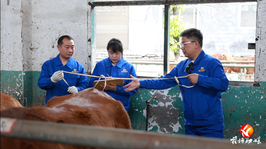 “名师高徒”！花垣县两对师徒获省总工会通报表扬