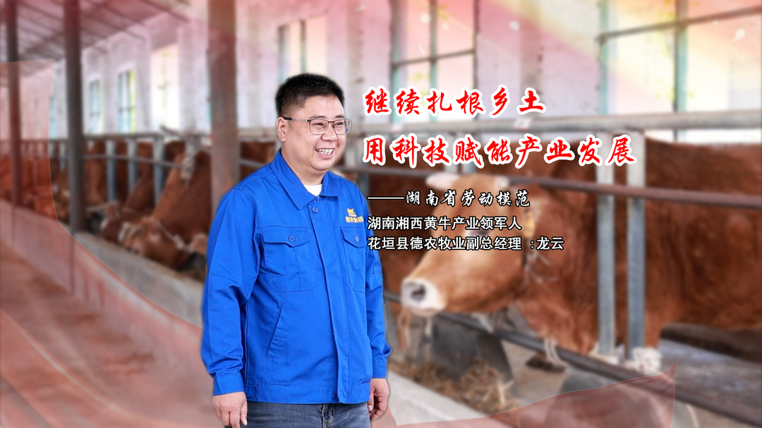 【劳动者风采·筑梦苗乡】龙云：扎根乡土守初心 科技赋能助振兴