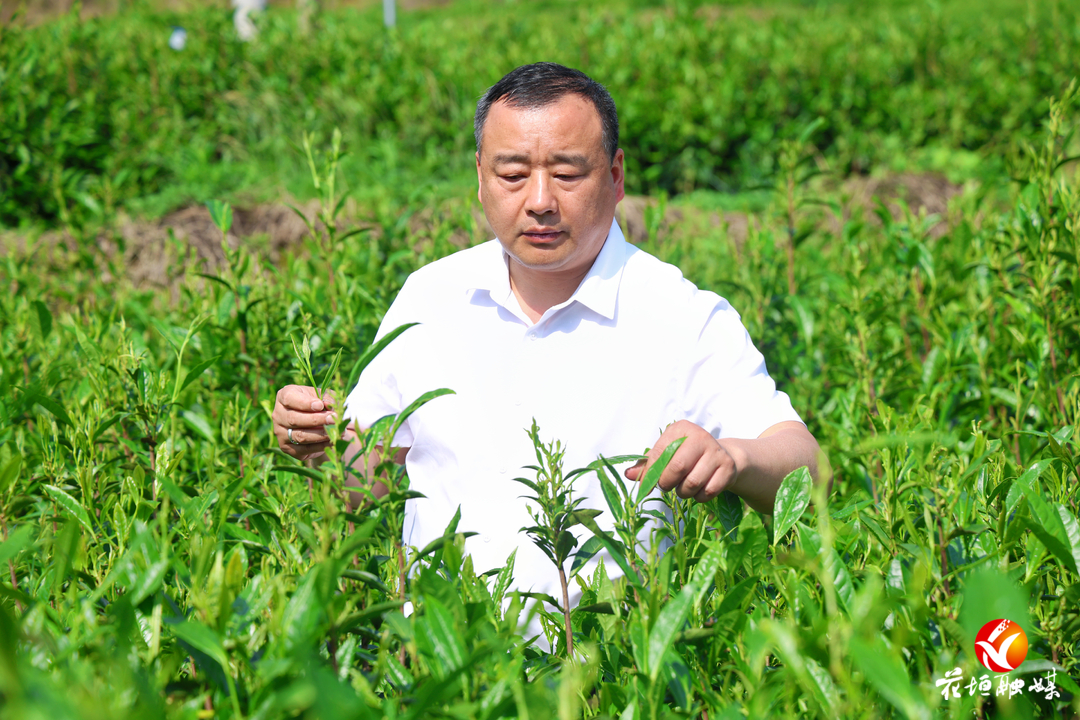 湘西唯一！花垣农技专家黄纯勇，获全国五一劳动奖章！