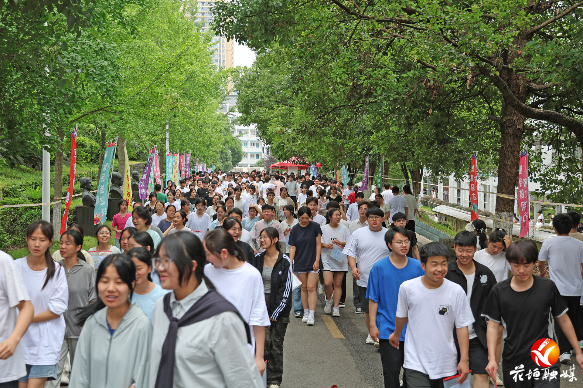 花垣高考：又到杨梅成熟季 正是少年折桂时
