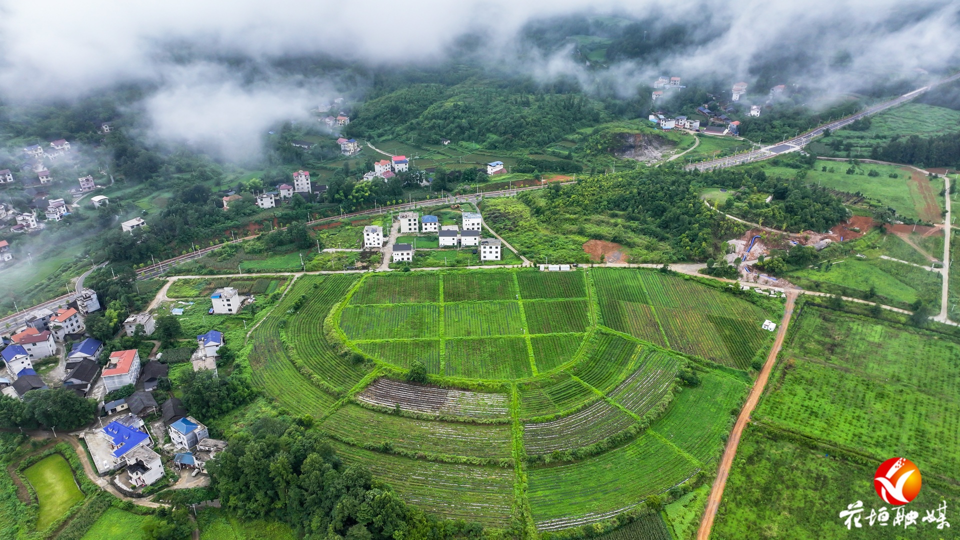 花垣建成湘西最大茶葉“基因庫” 助力茶產(chǎn)業(yè)高質(zhì)量發(fā)展