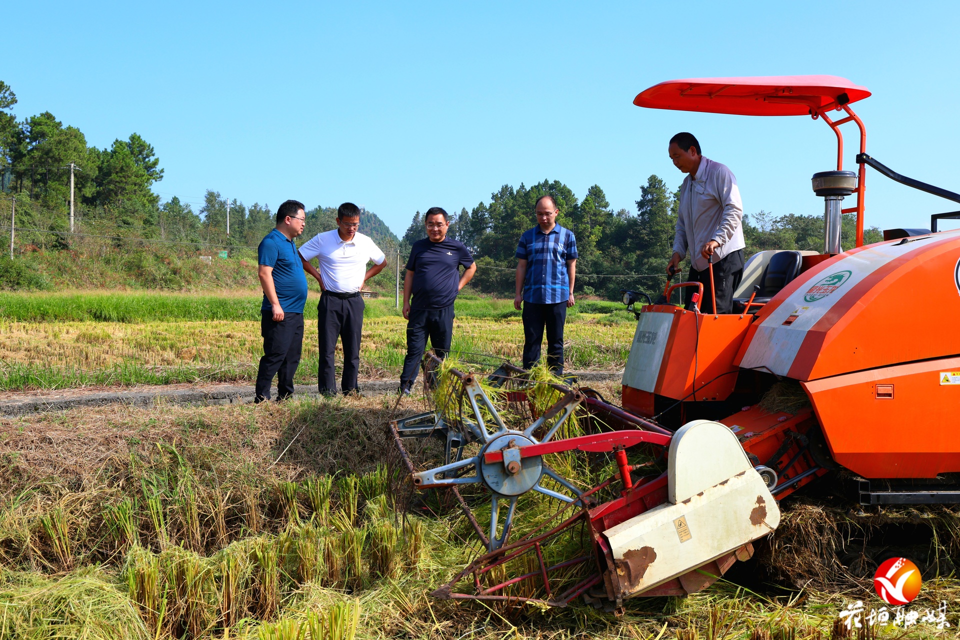 花垣县召开秸秆综合利用与秋冬油菜种植现场会 绿色农业模式促农增收