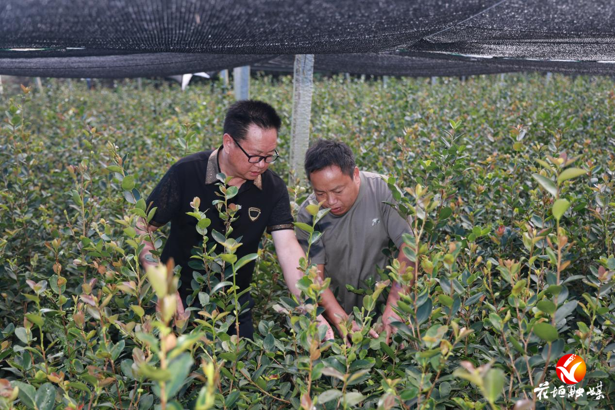 智汇潇湘 才聚边城 | 李光林：用科技“钥匙”打开山区“致富门”