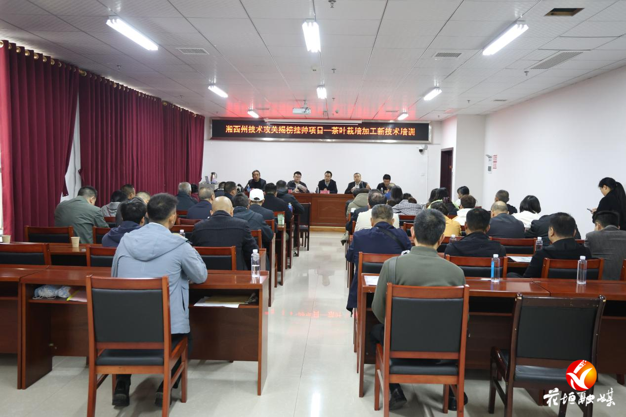 湘西州“揭榜挂帅”茶叶栽培加工新技术培训在花垣圆满落幕