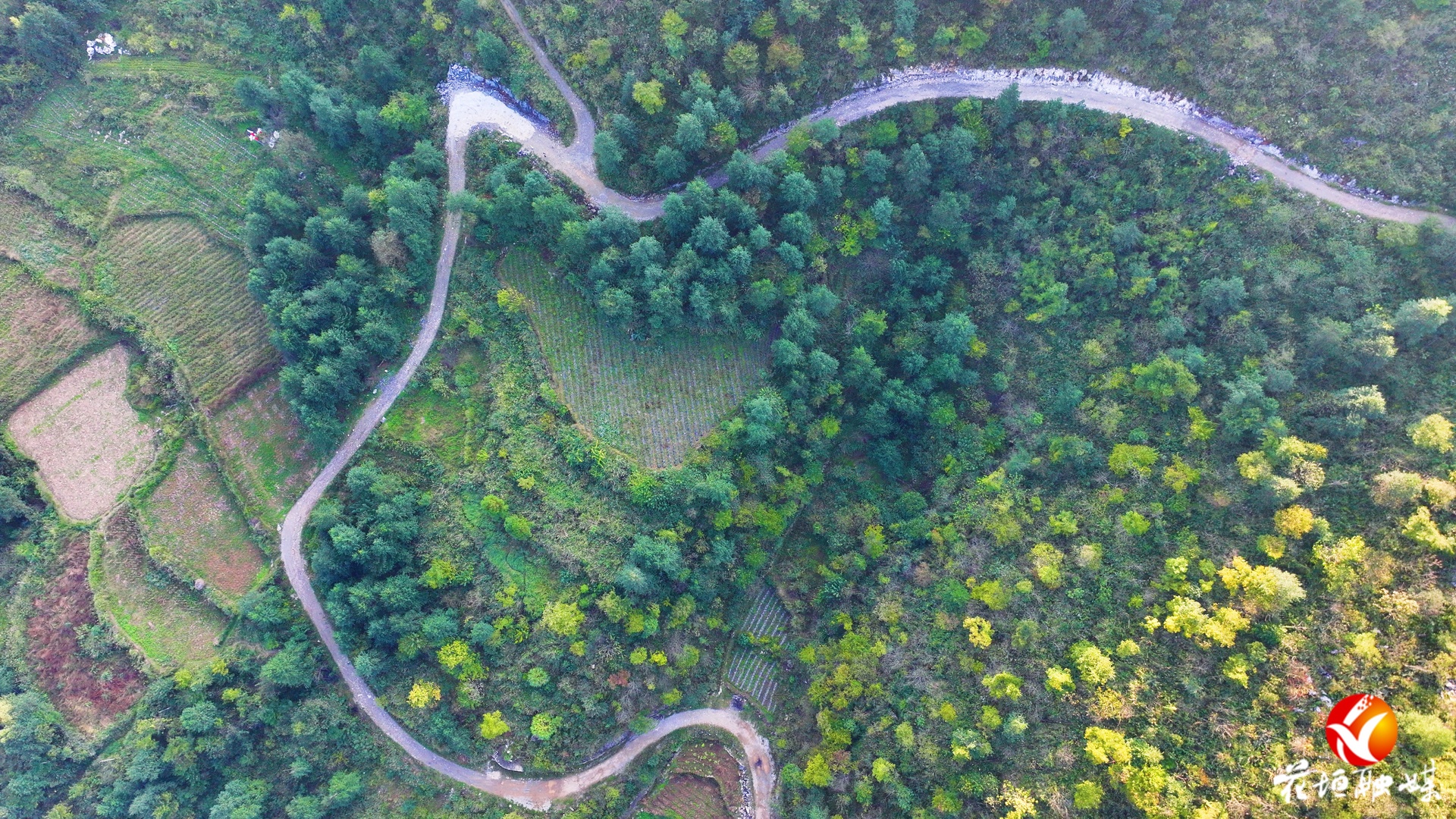 路通产业兴！雅酉镇吊瓜“金果”铺就致富路