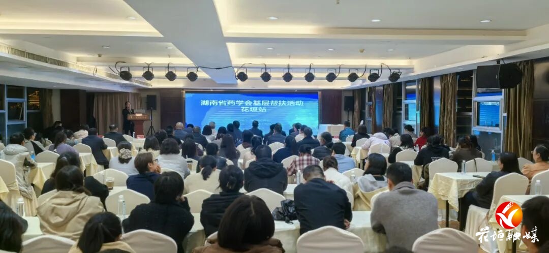 湖南省药学会专家团队赴花垣县开展药学服务基层帮扶活动
