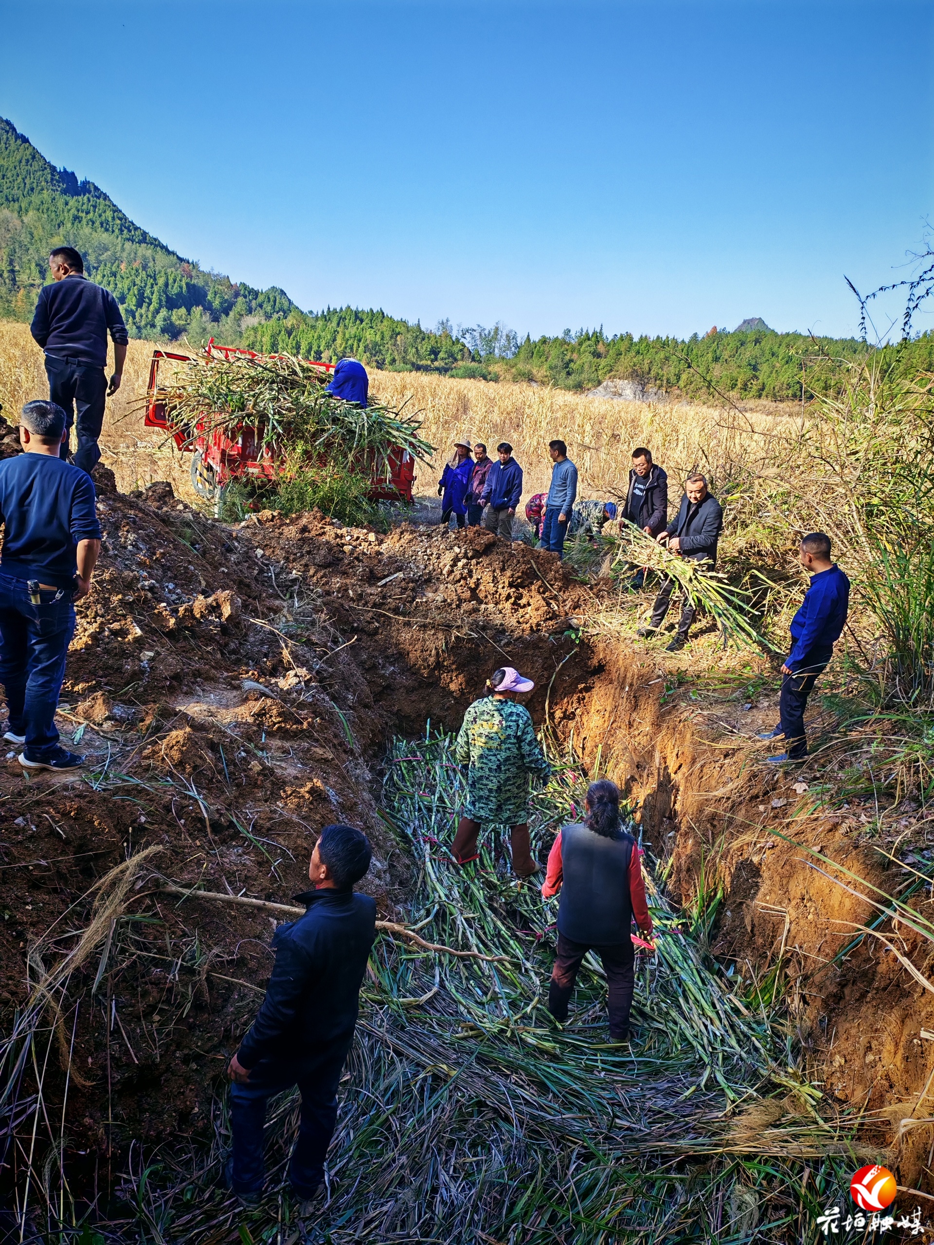 黄牛牧草种子储存技术专项培训在花垣举行