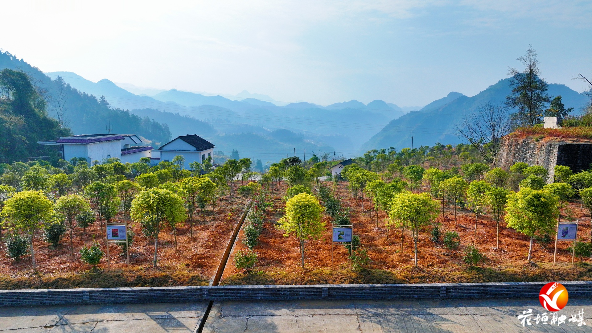 民乐镇田家社区：原电解锰厂变身“绿色银行” 村民家门口挣钱增收