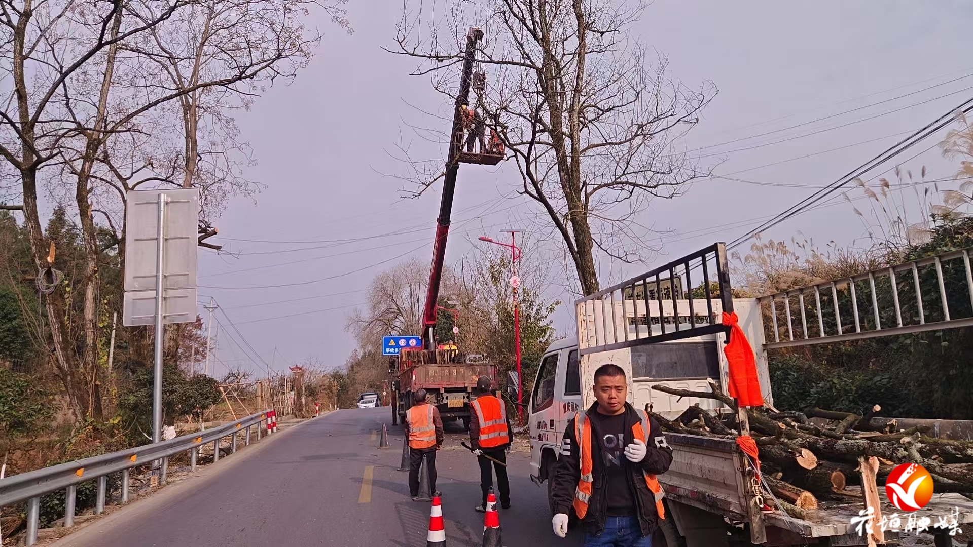 花垣县公路建设养护中心及时处置隐患行道树 保障国道安全畅通