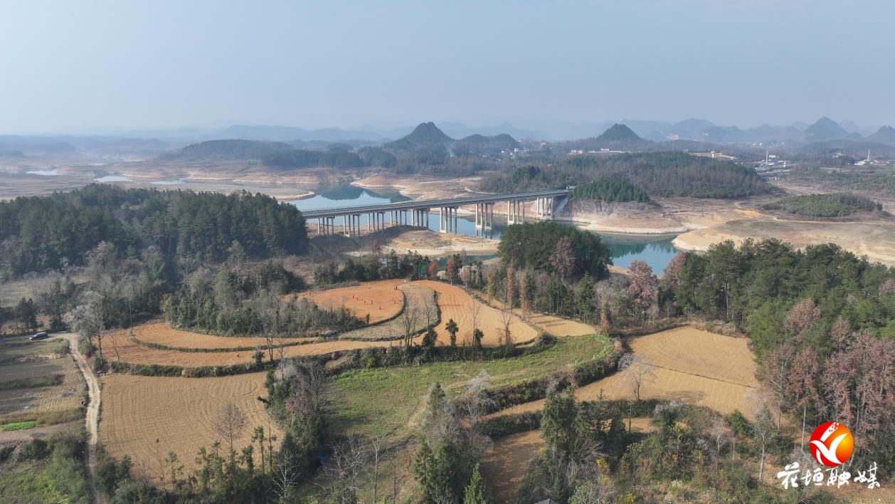 窝勺社区：种下五万余株桑苗 织就家门口的“致富网”