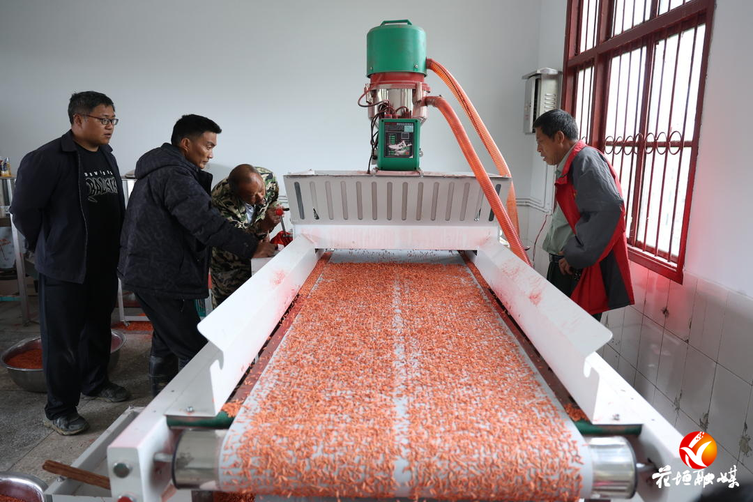 “打印”良种，“飞运”鲜果......花垣农业玩转“科技狠活”！