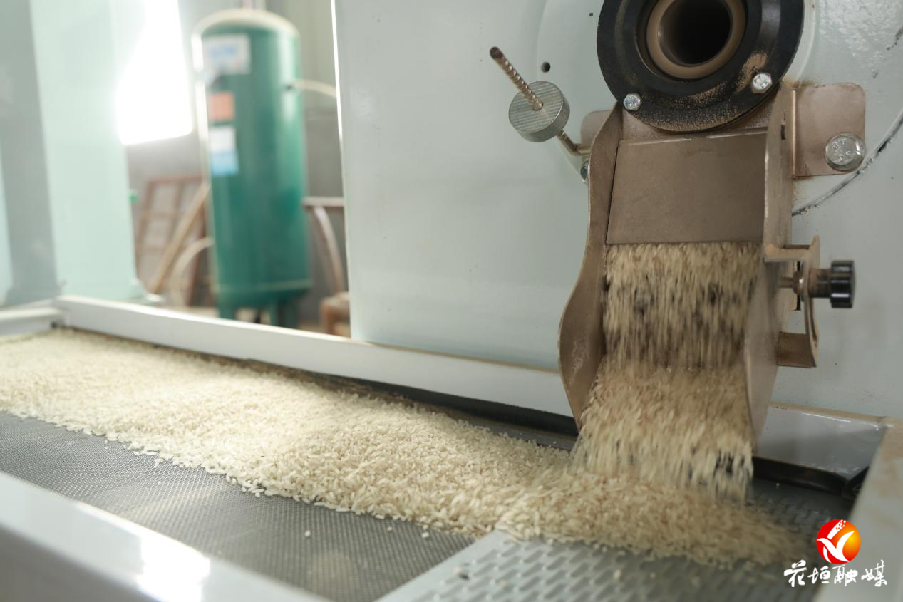 智能化打米厂落户道二村 “致富车间”年加工50万斤大米