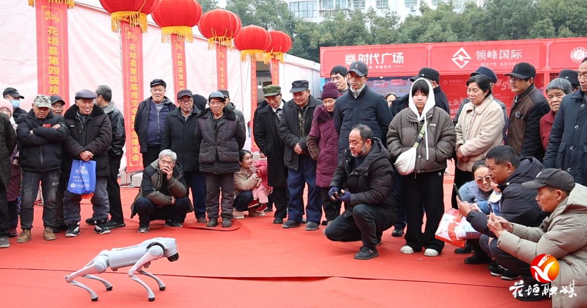 逛展热！花垣第四届房交会暨年货博览会人气爆棚！