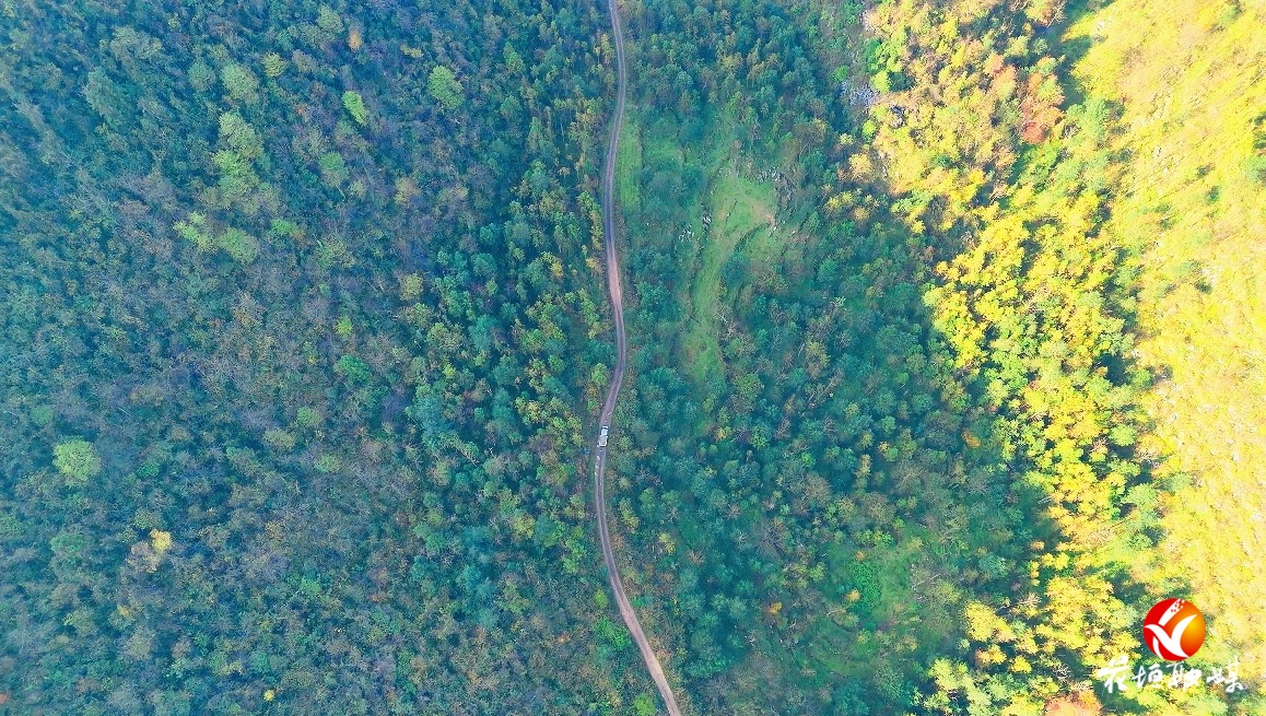 林长制绘就生态画卷 花垣县雅酉镇获省级表扬奖补