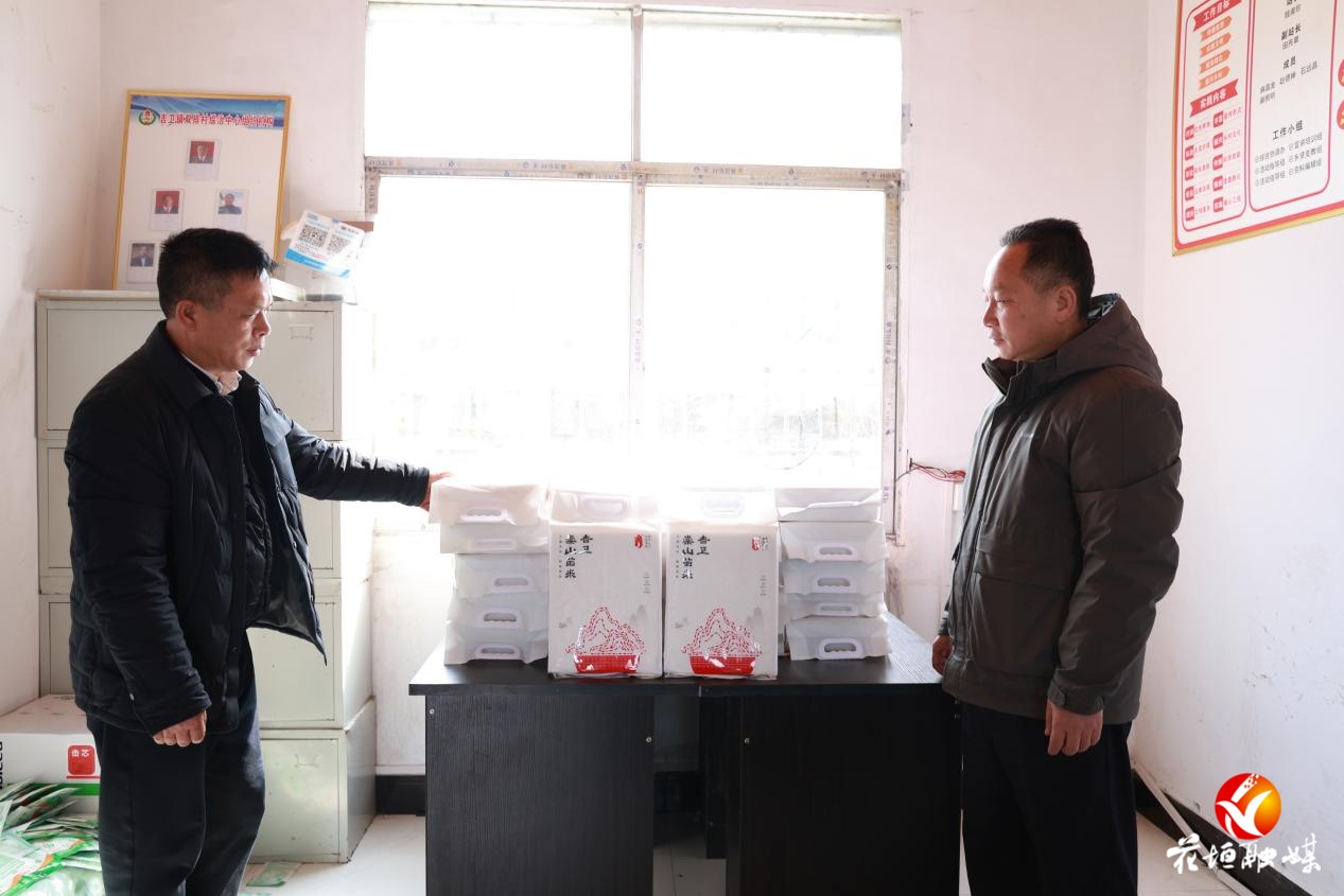 新春走基层︱吉卫镇双排村：同心共筑振兴梦，乡村新景迎丰年