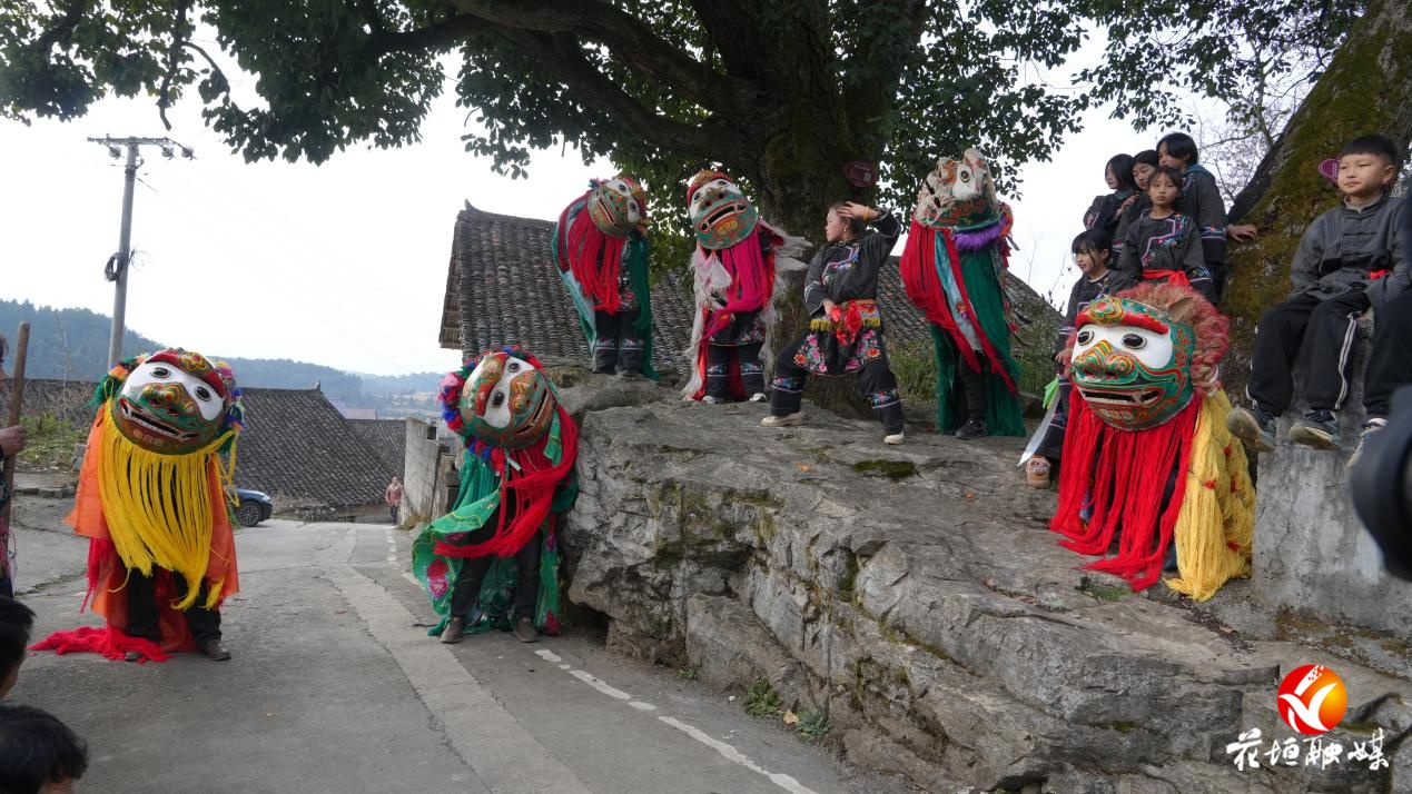 非遗贺新春·寻味中国年 | 苗狮闹新春 送福传文脉