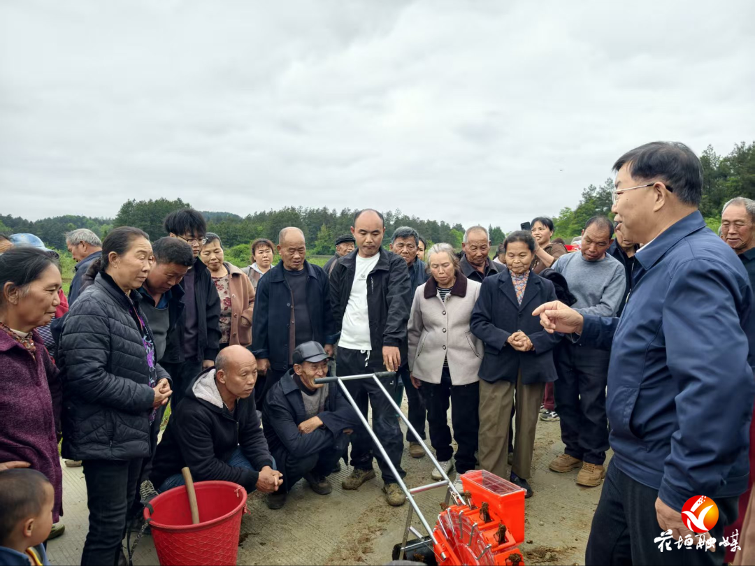 湖南农大教授花垣开讲：林下套种花生，旱地也能高产