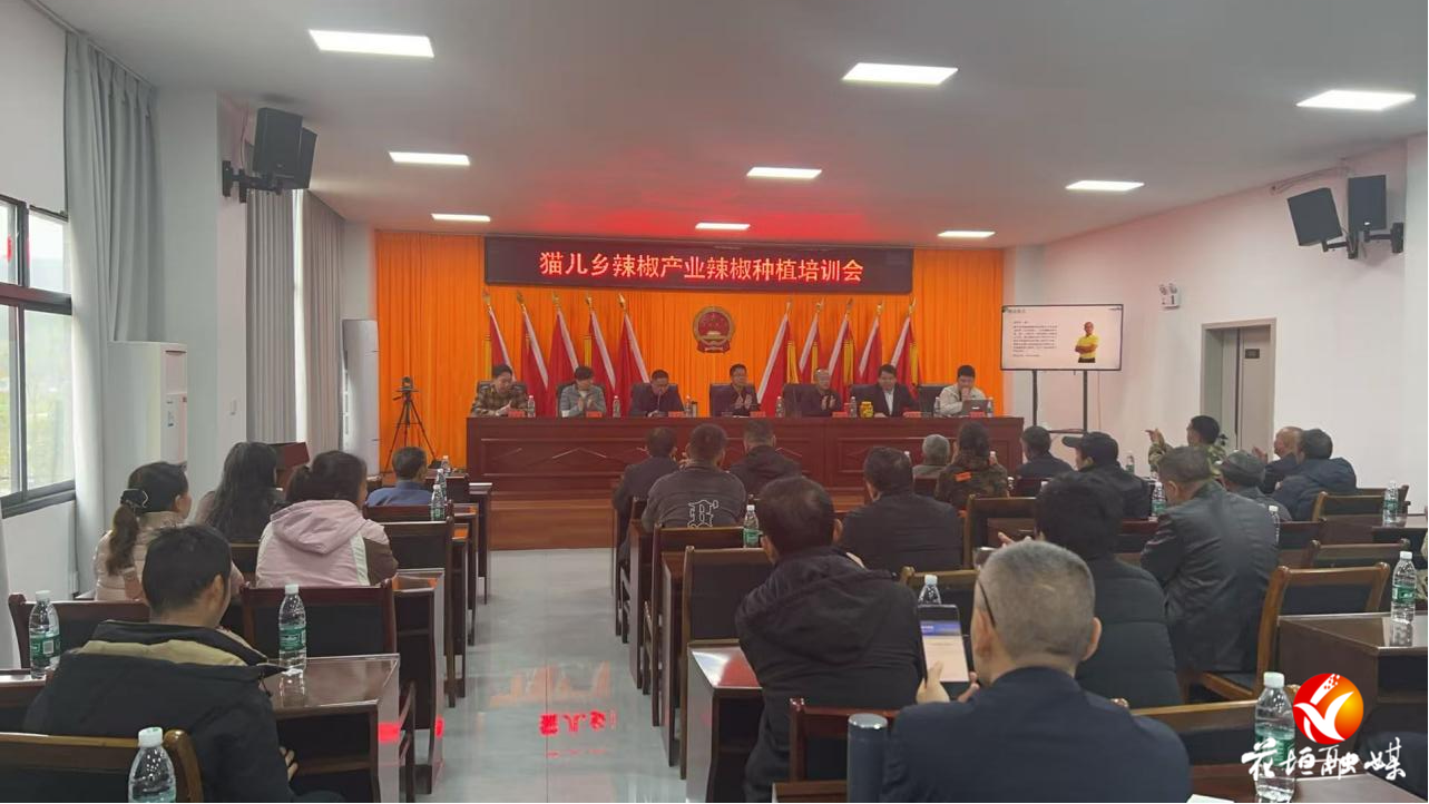 省农科院专家到猫儿乡开展辣椒种植技术培训