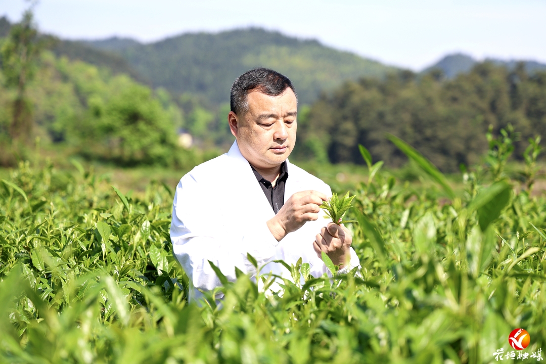 榜样的力量！全国五一劳动奖章获得者黄纯勇：一生扎根苗乡，只为助农增收