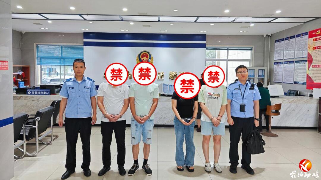 重拳出击！花垣公安快速查处流窜张贴非法代孕广告案