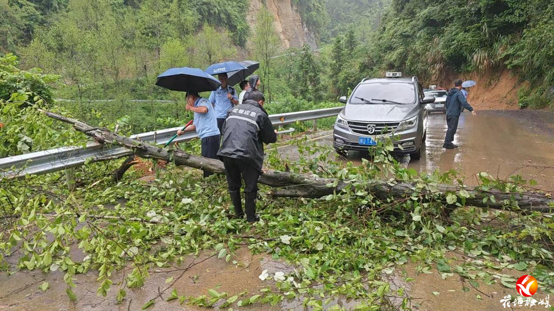 暴雨致大树倒伏阻路，十八洞派出所迅速清障转移群众