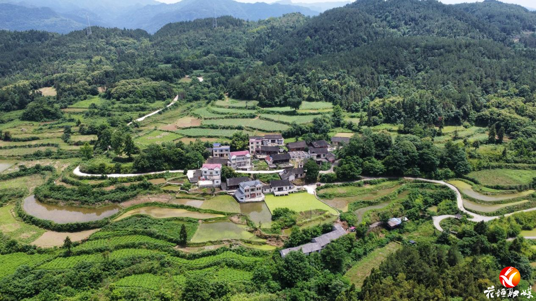花开花垣·文明实践 | 办好民生实事，民乐镇田家社区旧貌换新颜